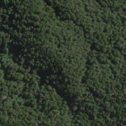 Satellite imagery of Division Spur, NZ