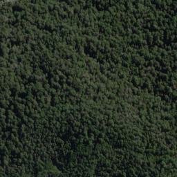 Satellite imagery of Warden Spur, NZ