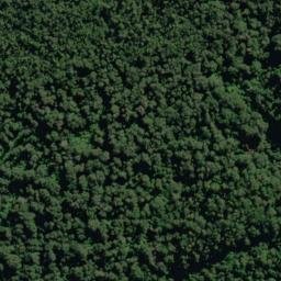 Satellite imagery of Stevenson Ridge, NZ