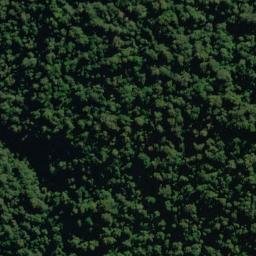 Satellite imagery of Callery Spur, NZ