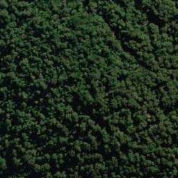 Satellite imagery of Callery Spur, NZ