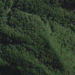 Satellite imagery of Division Spur, NZ