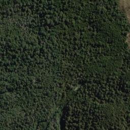 Satellite imagery of Warden Spur, NZ