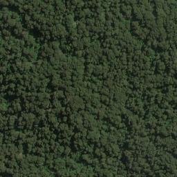 Satellite imagery of Blossom Spur, NZ