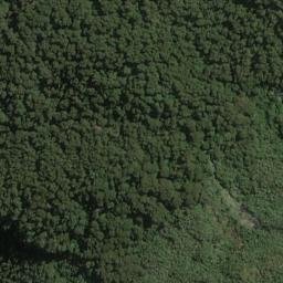 Satellite imagery of Blossom Spur, NZ