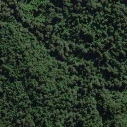 Satellite imagery of Contort Spur, NZ