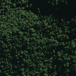 Satellite imagery of Frank Spur, NZ