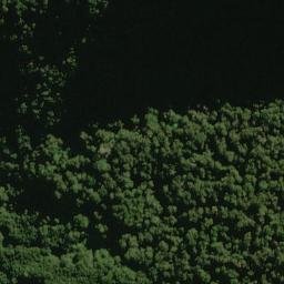 Satellite imagery of Frank Spur, NZ