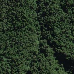 Satellite imagery of Contort Spur, NZ
