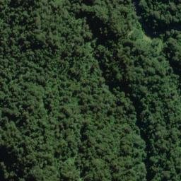 Satellite imagery of Contort Spur, NZ
