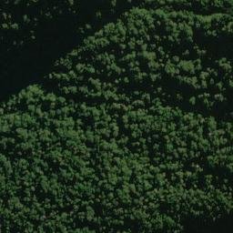 Satellite imagery of Frank Spur, NZ