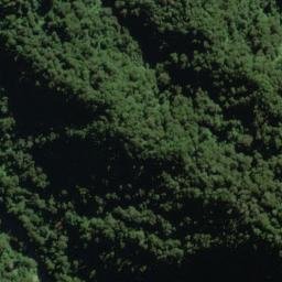 Satellite imagery of Contort Spur, NZ