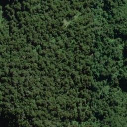Satellite imagery of Contort Spur, NZ