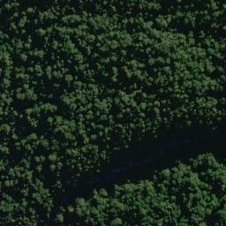 Satellite imagery of Frank Spur, NZ