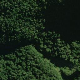 Satellite imagery of Frank Spur, NZ