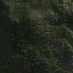 Satellite imagery of Primula Spur, NZ