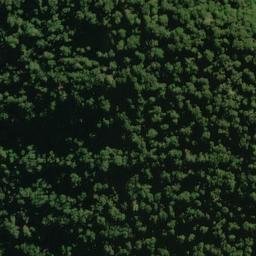 Satellite imagery of Awkward Spur, NZ