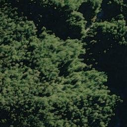 Satellite imagery of Hope Spur, NZ