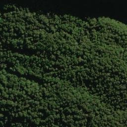 Satellite imagery of Drew Spur, NZ