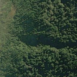 Satellite imagery of Sandrock Bluff, NZ