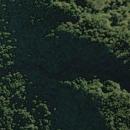 Satellite imagery of Sandrock Bluff, NZ