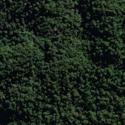 Satellite imagery of Erica Spur, NZ