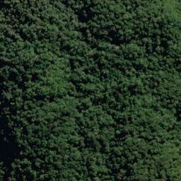Satellite imagery of Erica Spur, NZ