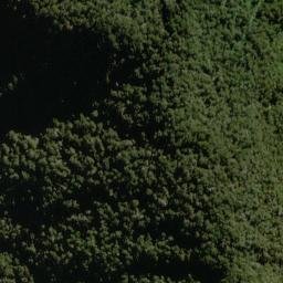 Satellite imagery of Red Spur, NZ