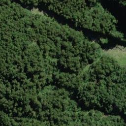 Satellite imagery of Saxifrage Spur, NZ