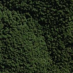 Satellite imagery of Baal Spur, NZ