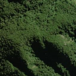 Satellite imagery of Baal Spur, NZ
