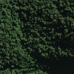 Satellite imagery of Jewel Spur, NZ
