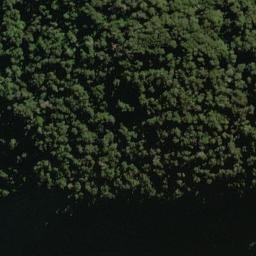 Satellite imagery of Jewel Spur, NZ