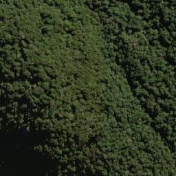 Satellite imagery of Jewel Spur, NZ