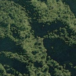 Satellite imagery of Fish Point, NZ