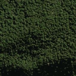 Satellite imagery of Baal Spur, NZ