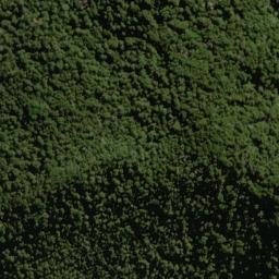 Satellite imagery of Baal Spur, NZ
