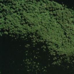 Satellite imagery of Jewel Spur, NZ