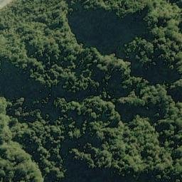 Satellite imagery of Fish Point, NZ