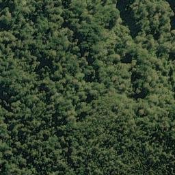 Satellite imagery of Fish Point, NZ