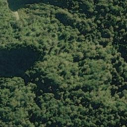 Satellite imagery of Rocky Point, NZ