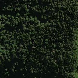 Satellite imagery of Thirsty Spur, NZ