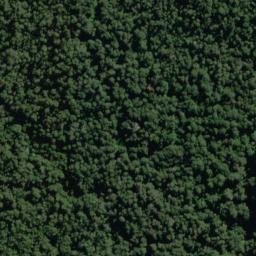 Satellite imagery of Bench Ridge, NZ