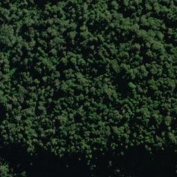 Satellite imagery of Bench Ridge, NZ