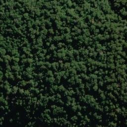 Satellite imagery of Bench Ridge, NZ