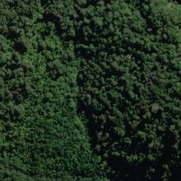 Satellite imagery of Bench Ridge, NZ