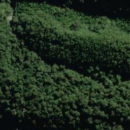 Satellite imagery of Bench Ridge, NZ