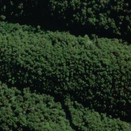Satellite imagery of Bench Ridge, NZ
