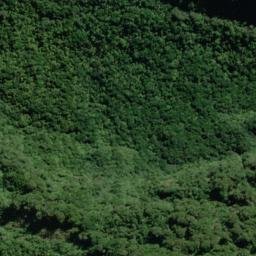 Satellite imagery of Bench Ridge, NZ