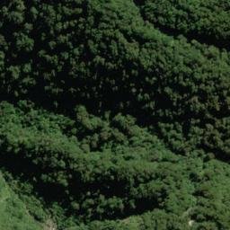 Satellite imagery of Bench Ridge, NZ